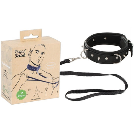 Collier et laisse